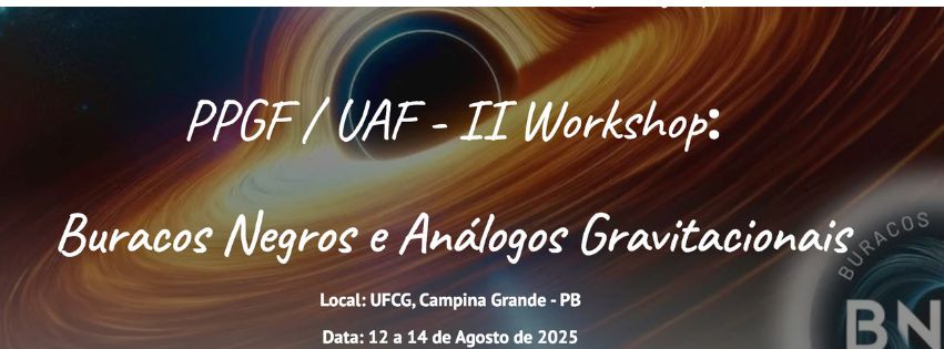 Buracos Negros e Análogos Gravitacionais